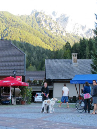9.9.2012 - Kranjska Gora (Slo) - 4th international CACIL coursing